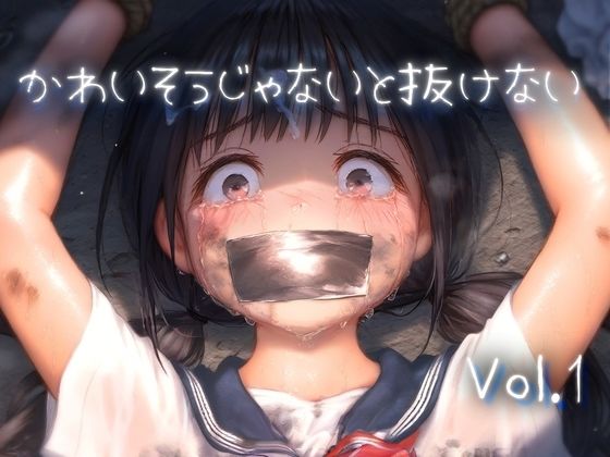 かわいそうじゃないと抜けない vol.1